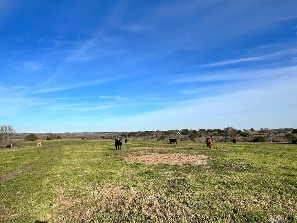 80.39 acres in Washington County - photo 22