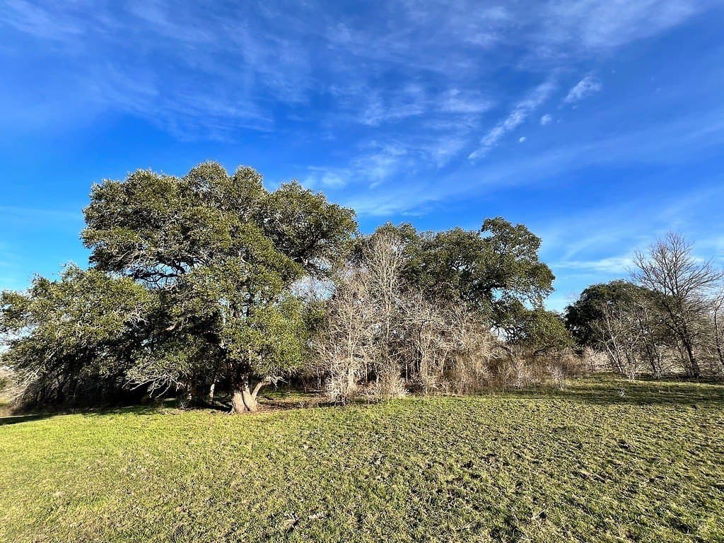 80.39 acres in Washington County - photo 14