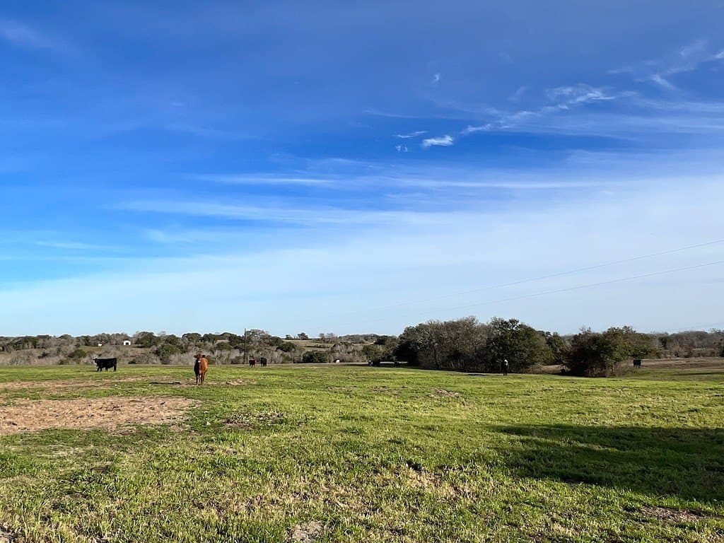 80.39 acres in Washington County - photo 23