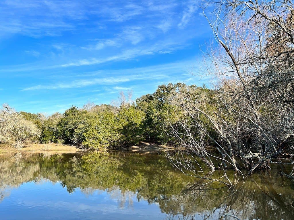 80.39 acres in Washington County - photo 16