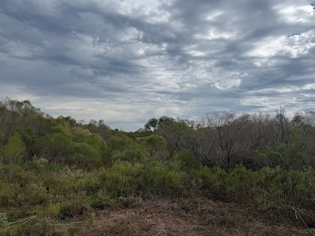 17.22 acres in Fort Bend County - photo 3