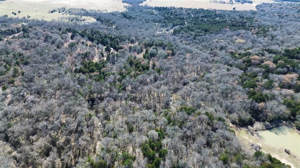 3.37 acres in Navarro County - photo 10