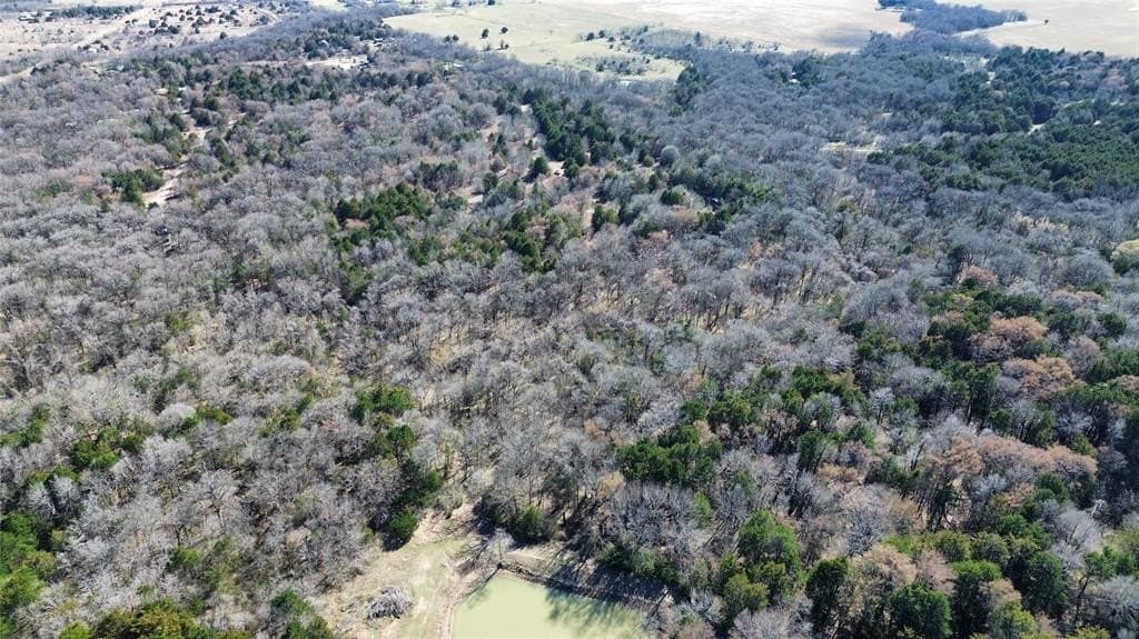 3.37 acres in Navarro County - photo 12