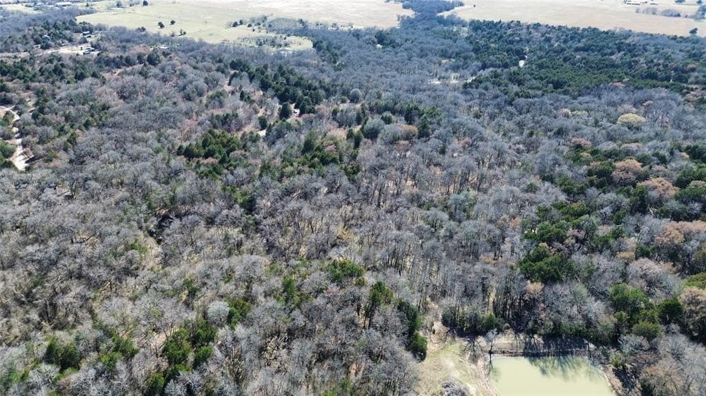 3.37 acres in Navarro County - photo 11