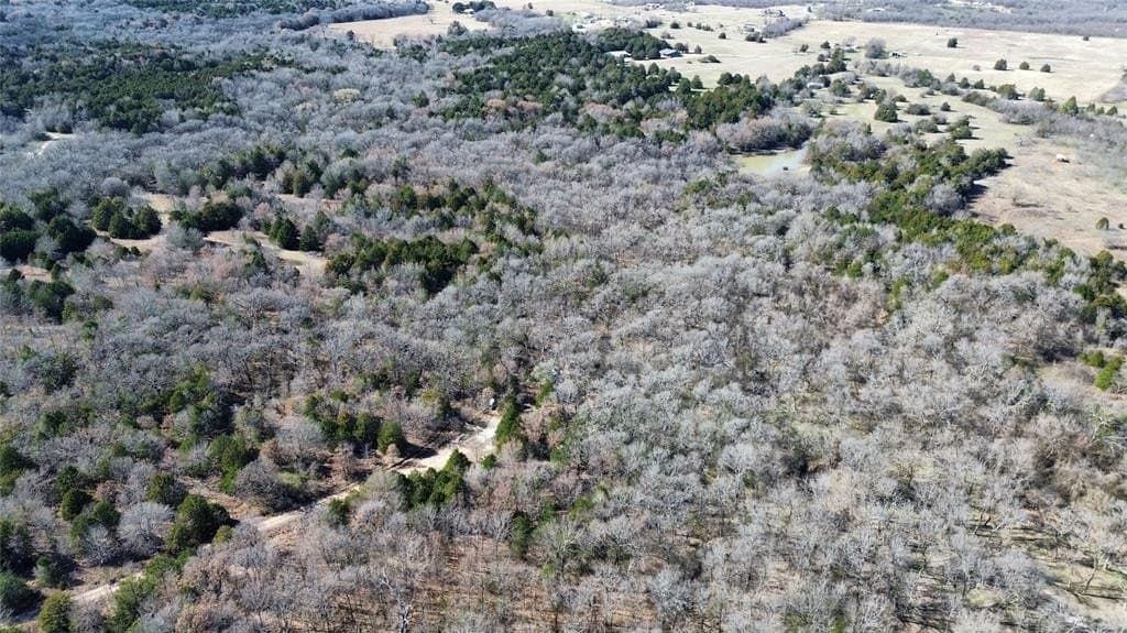 3.37 acres in Navarro County - photo 7