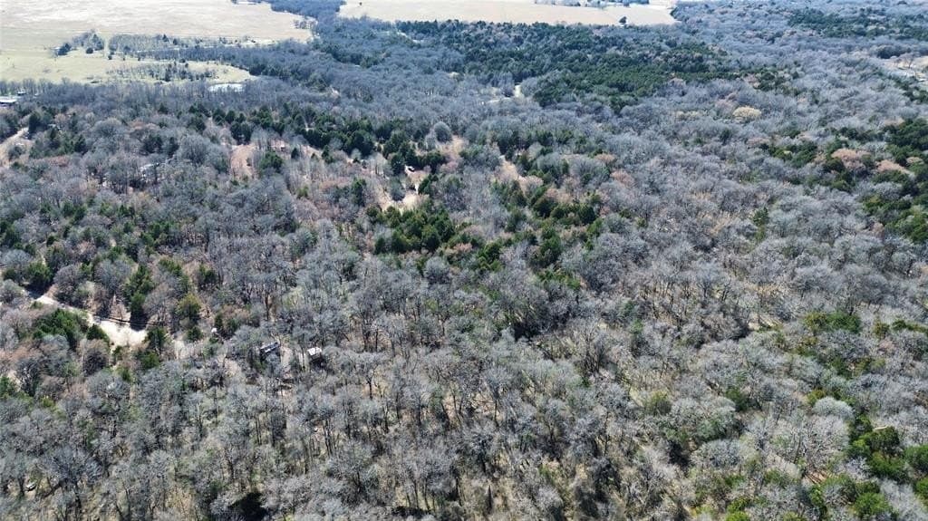 3.37 acres in Navarro County - photo 9