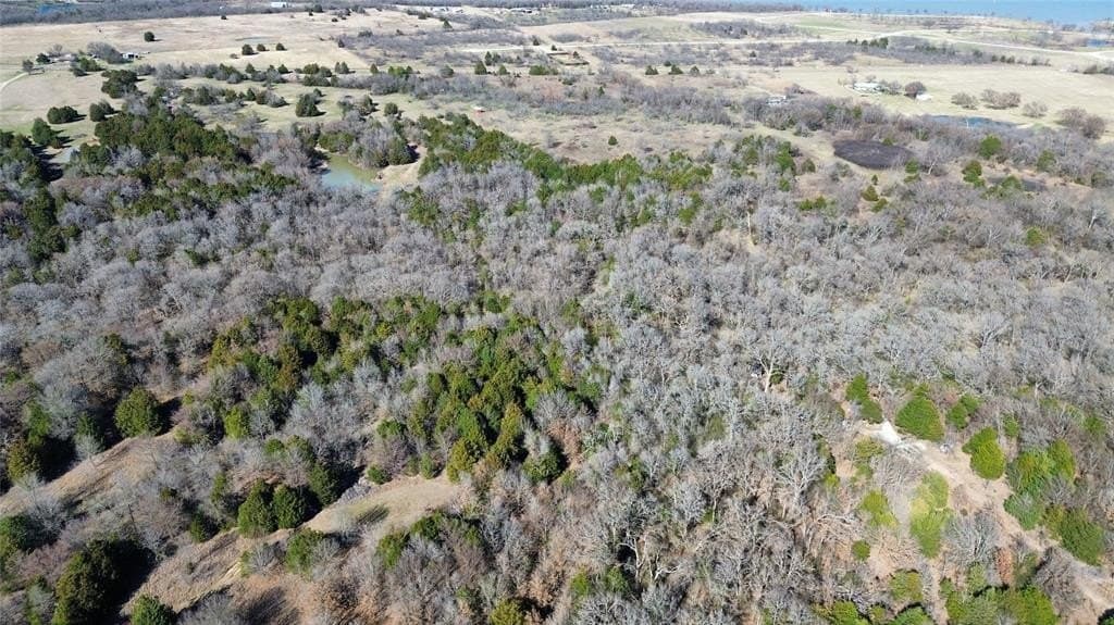 3.37 acres in Navarro County - photo 5