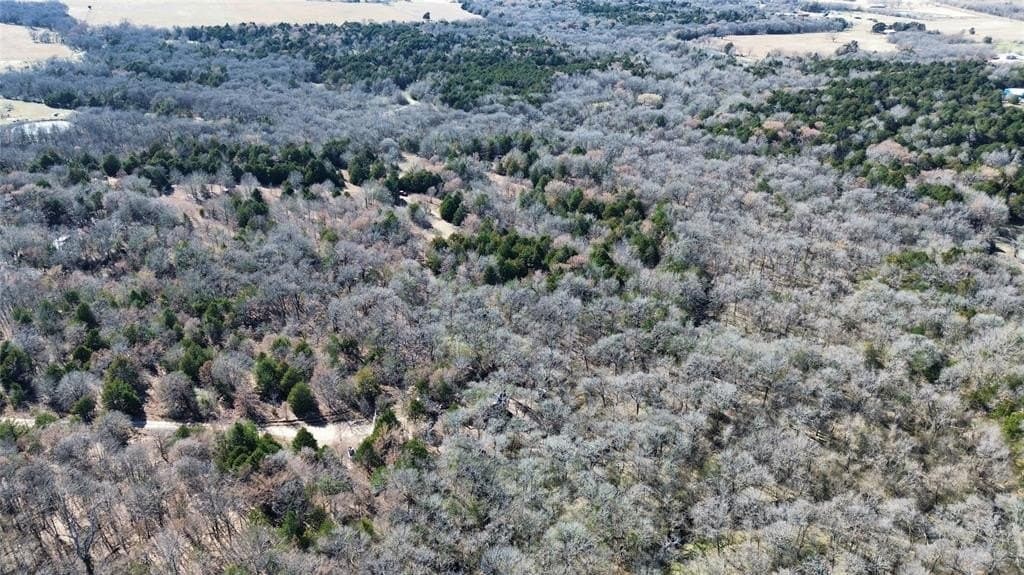 3.37 acres in Navarro County - photo 8