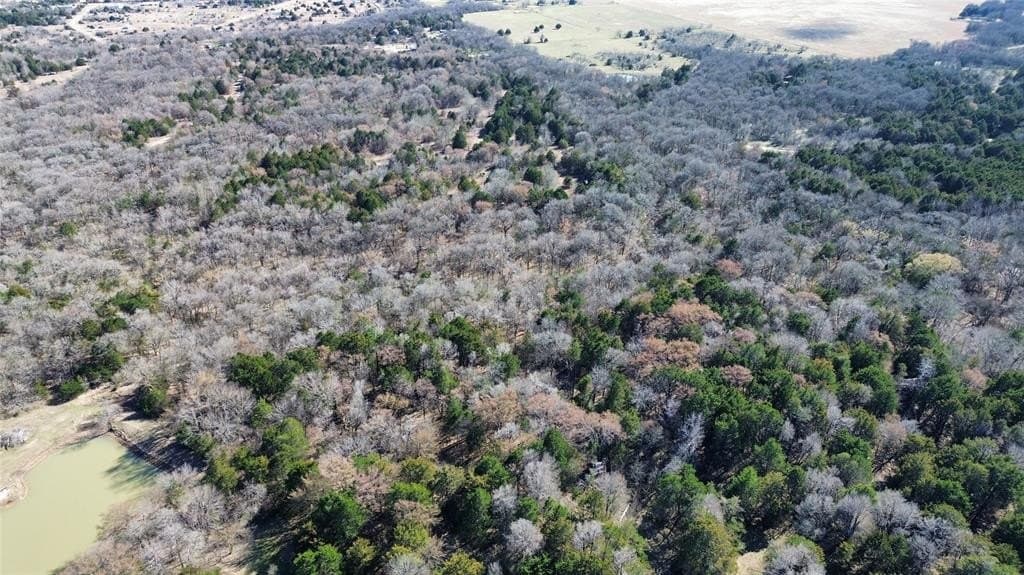 3.37 acres in Navarro County - photo 13