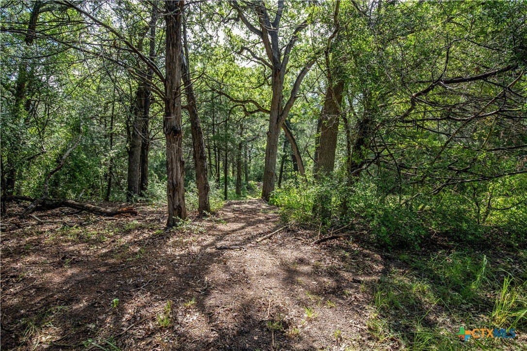 18.12 acres in Fayette County - photo 43