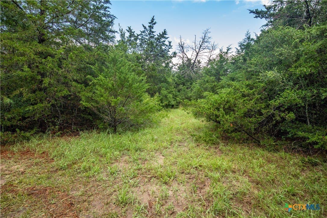 18.12 acres in Fayette County - photo 25