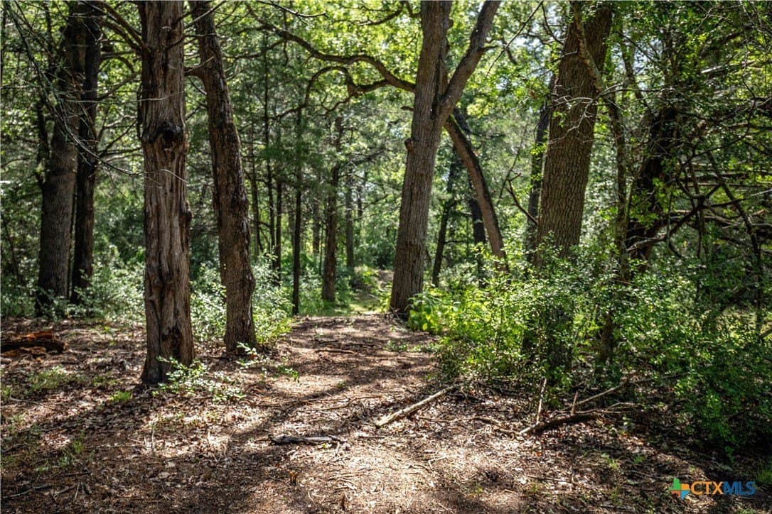 18.12 acres in Fayette County - photo 11