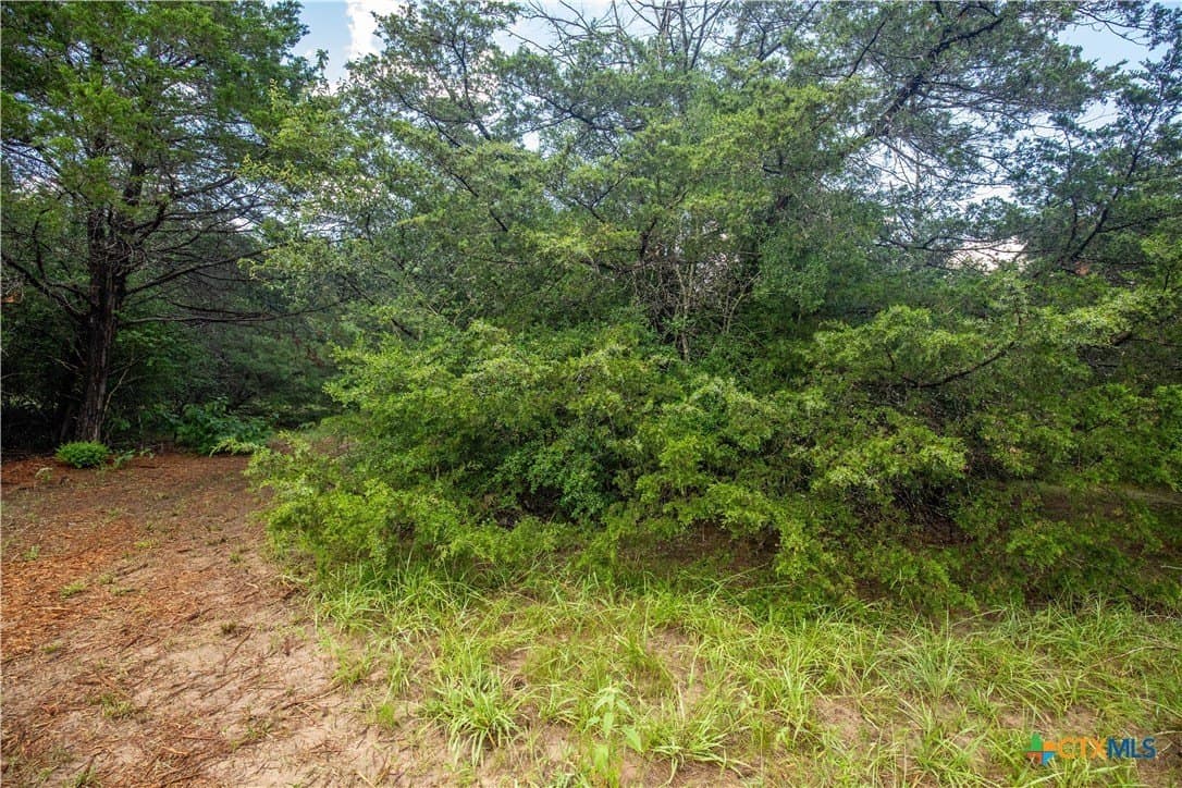 18.12 acres in Fayette County - photo 24