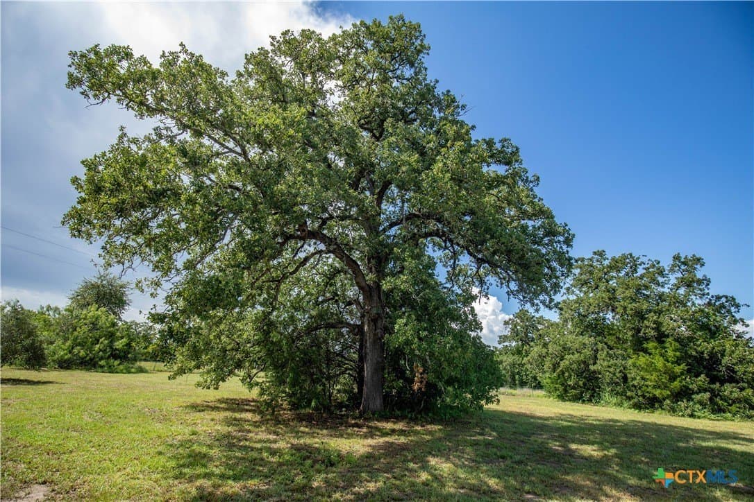 18.12 acres in Fayette County - photo 46