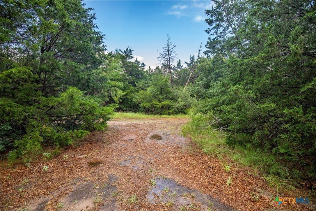 18.12 acres in Fayette County - photo 26