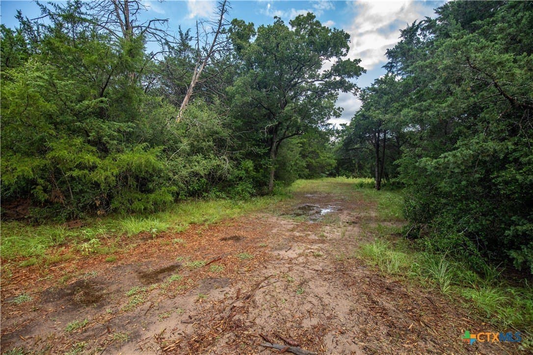 18.12 acres in Fayette County - photo 27