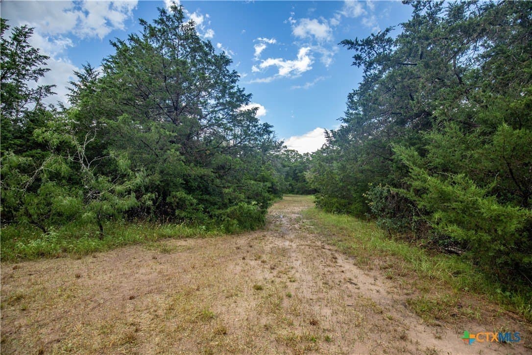 18.12 acres in Fayette County - photo 23