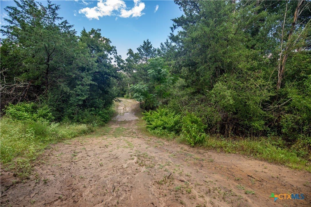 18.12 acres in Fayette County - photo 28