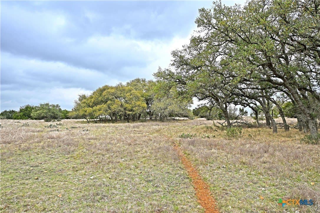 25 acres in Comal County - photo 20