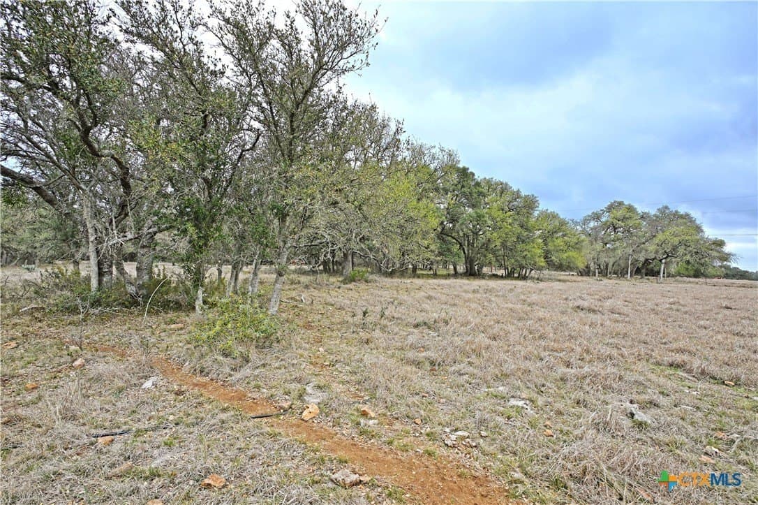 25 acres in Comal County - photo 28