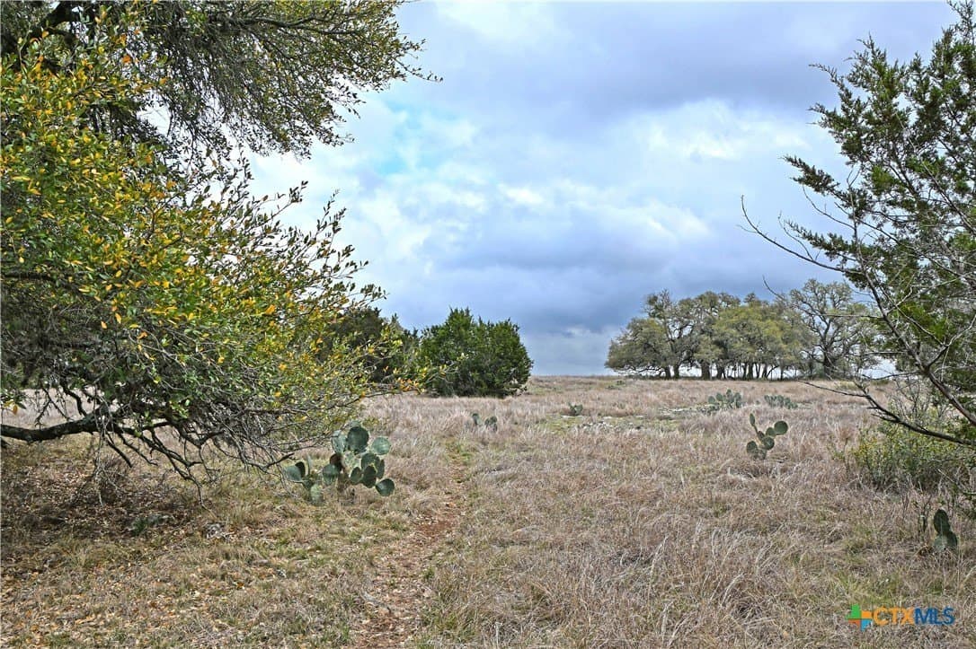 25 acres in Comal County - photo 5