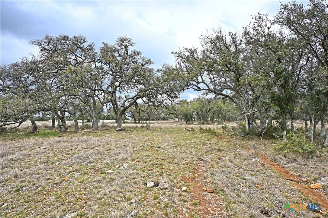 25 acres in Comal County - photo 29