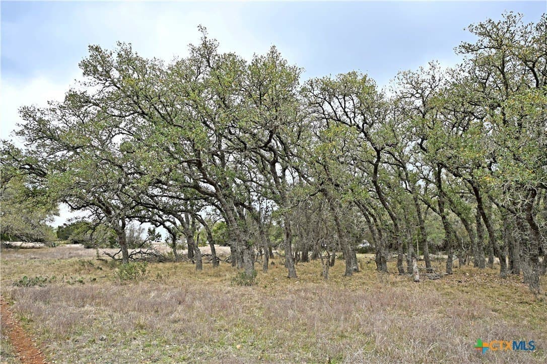 25 acres in Comal County - photo 19