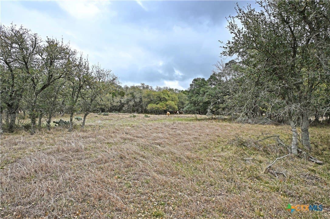 25 acres in Comal County - photo 25