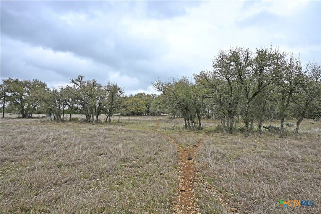 25 acres in Comal County - photo 24