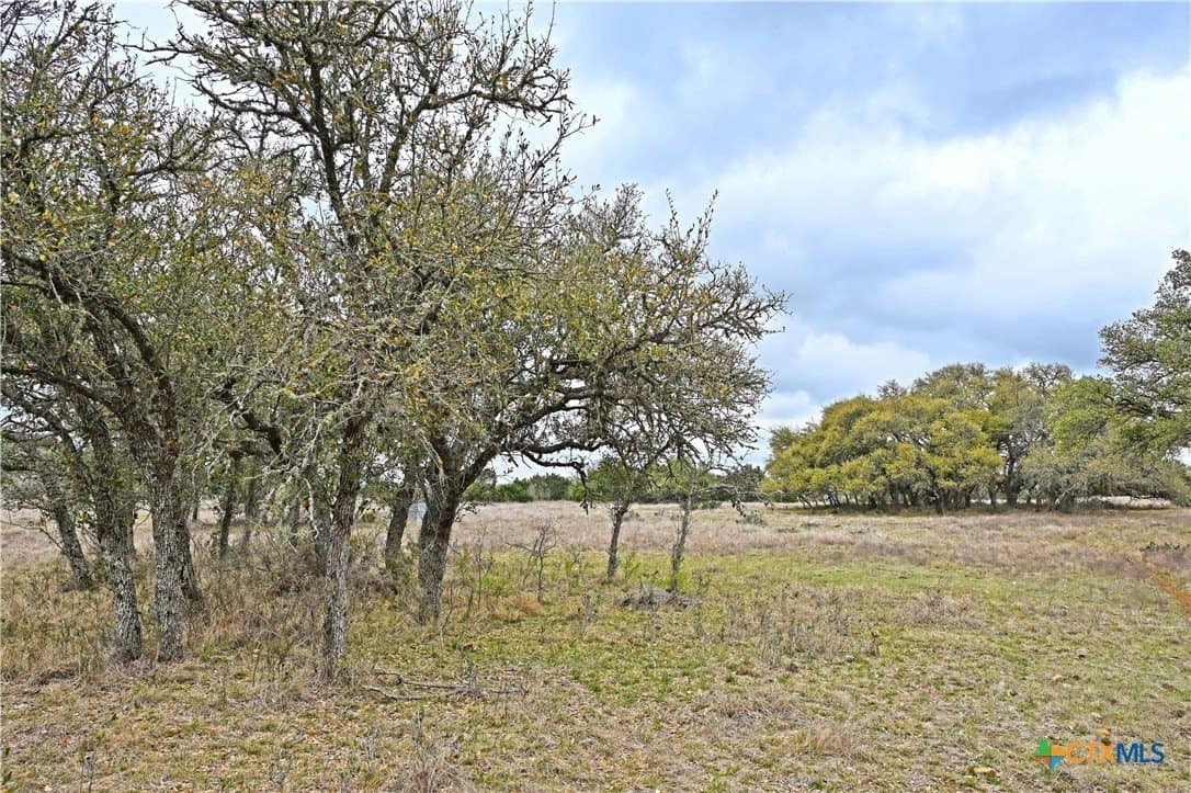 25 acres in Comal County - photo 26