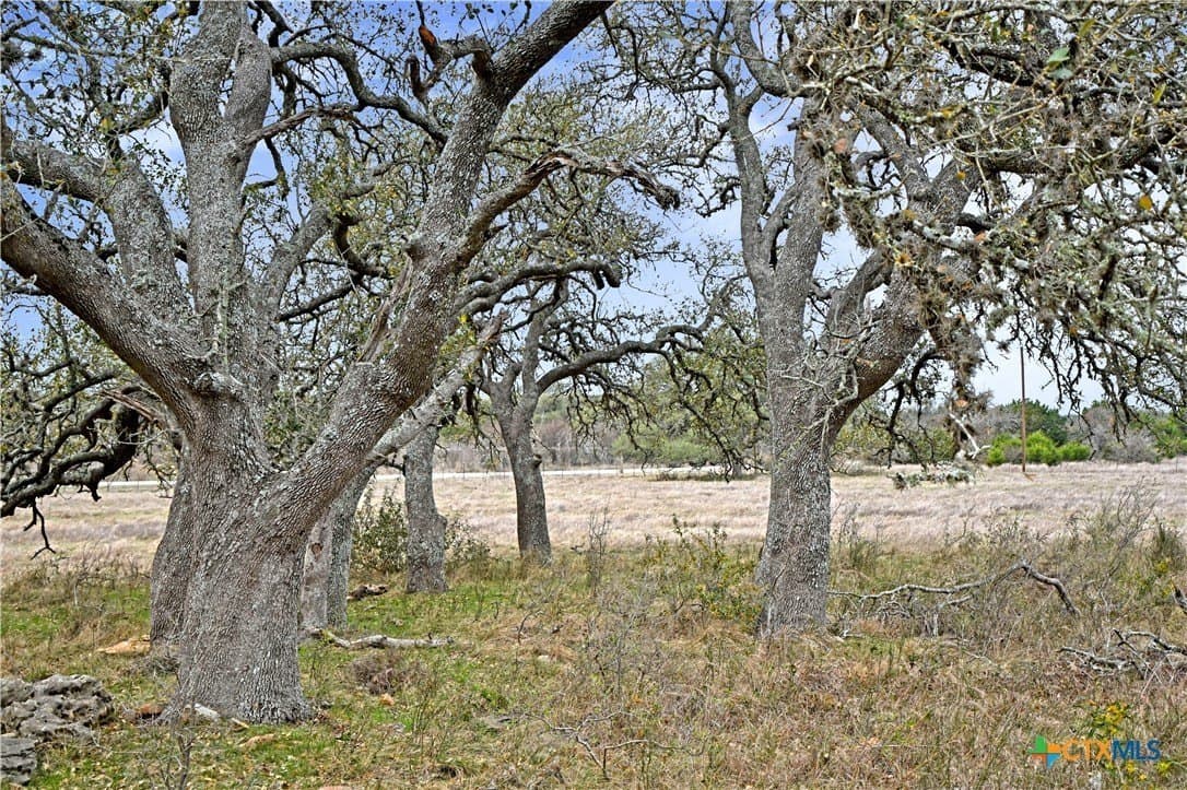 25 acres in Comal County - photo 12