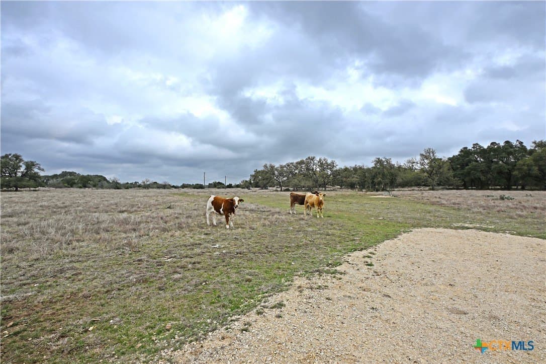 25 acres in Comal County - photo 23