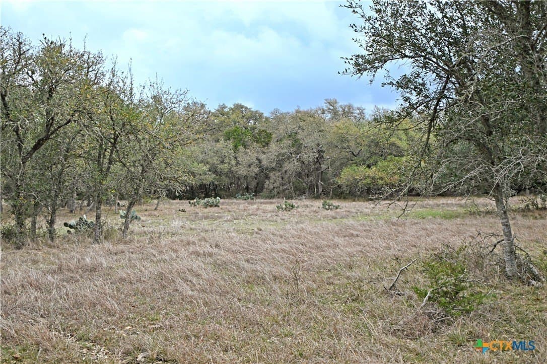 25 acres in Comal County - photo 13