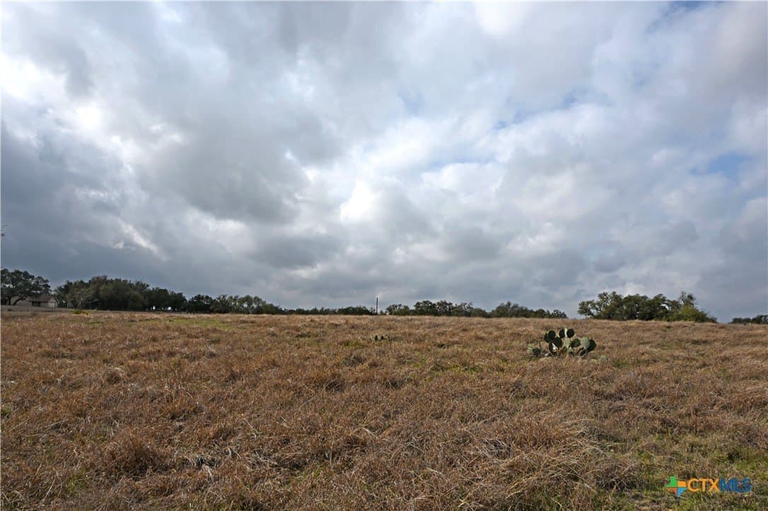 25 acres in Comal County - photo 16