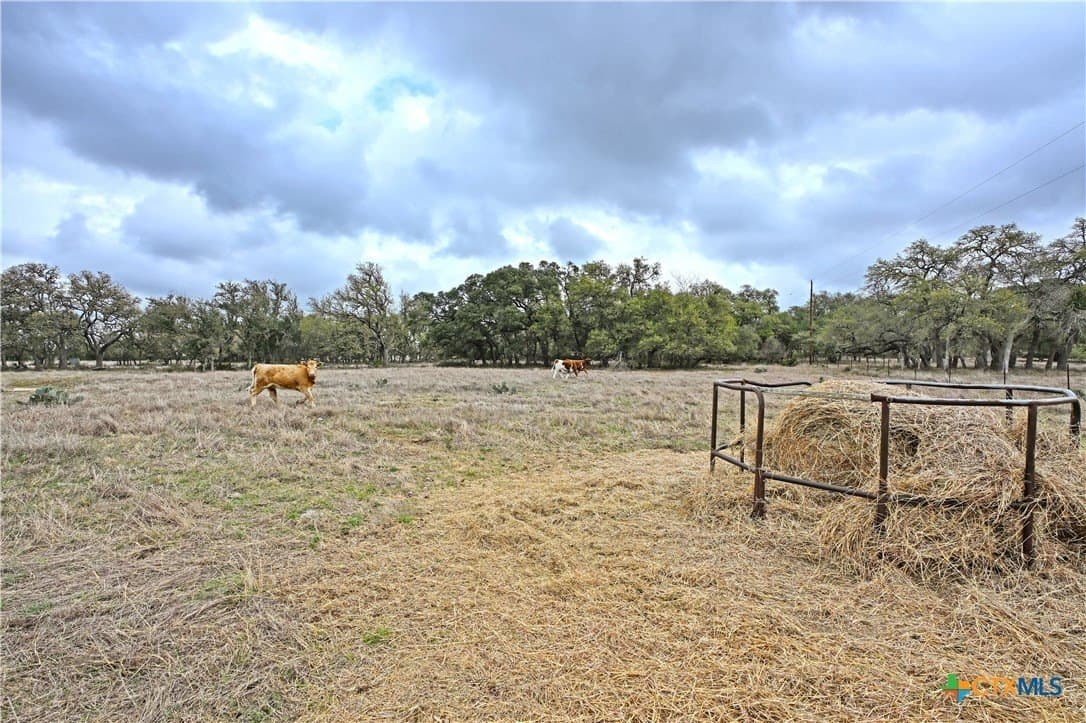 25 acres in Comal County - photo 7
