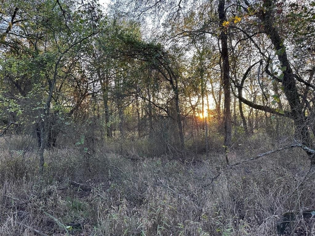 66.87 acres in Lamar County - photo 27