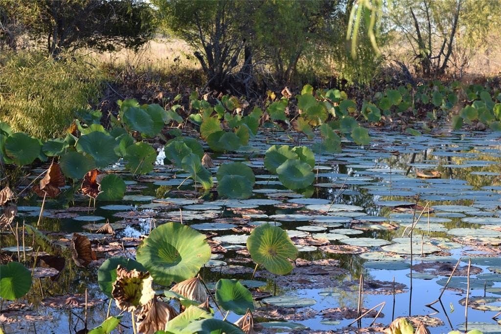 66.87 acres in Lamar County - photo 21