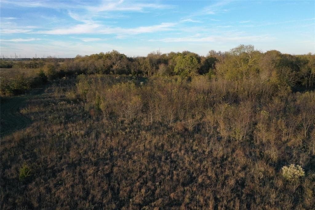 66.87 acres in Lamar County - photo 7
