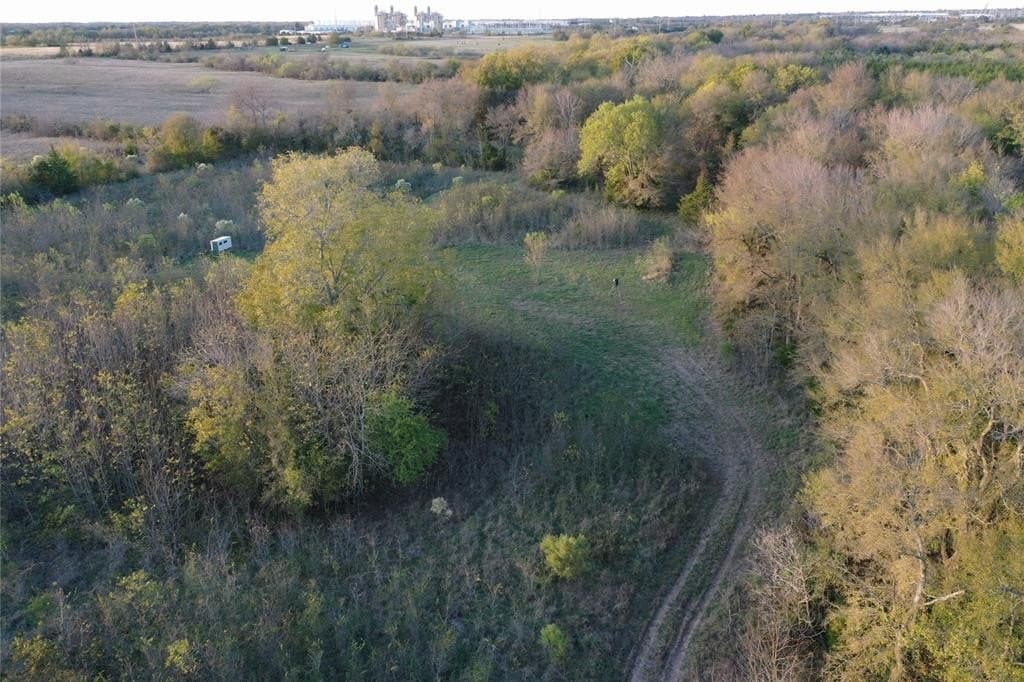 66.87 acres in Lamar County - photo 19