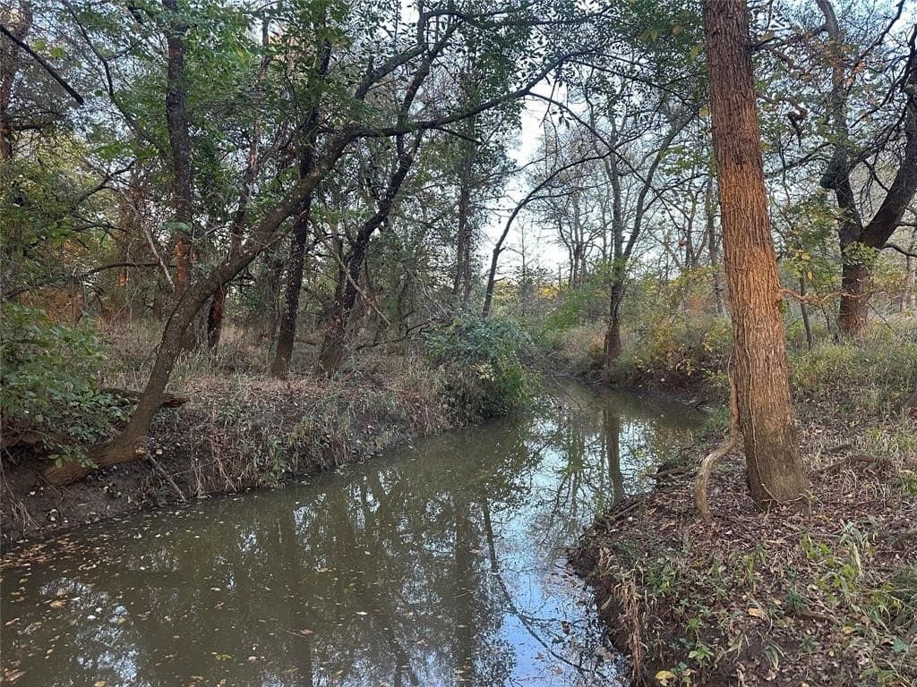 66.87 acres in Lamar County - photo 24