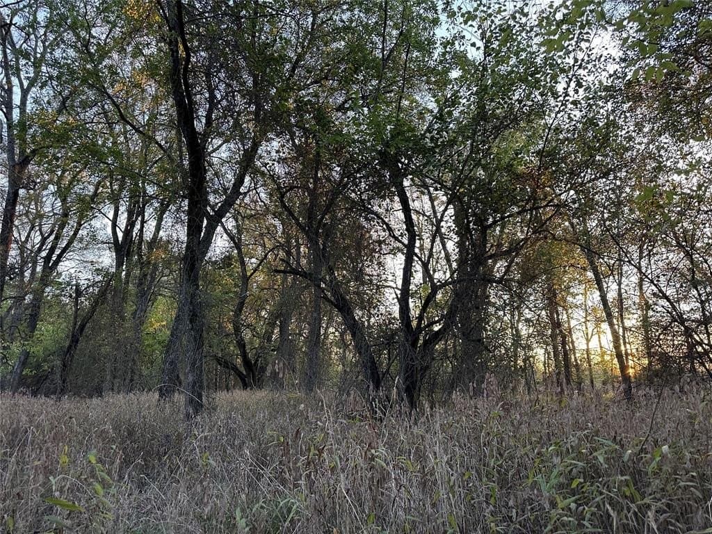 66.87 acres in Lamar County - photo 29