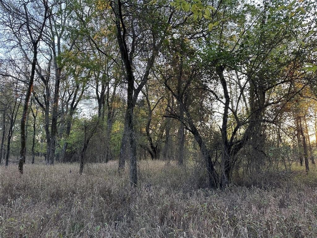 66.87 acres in Lamar County - photo 28