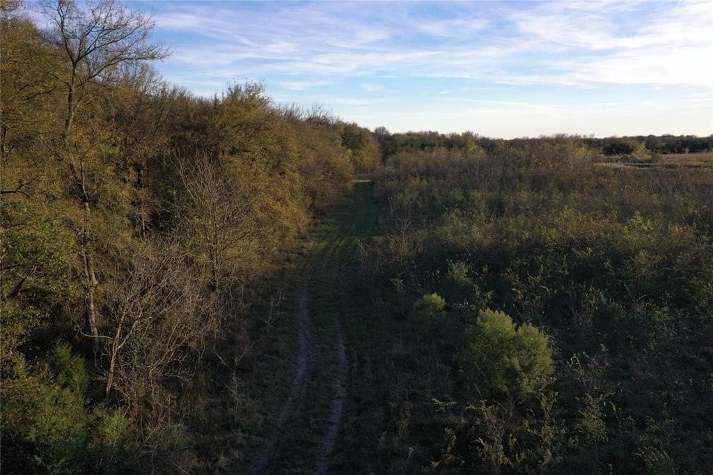 66.87 acres in Lamar County - photo 9