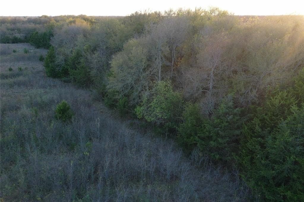 66.87 acres in Lamar County - photo 17