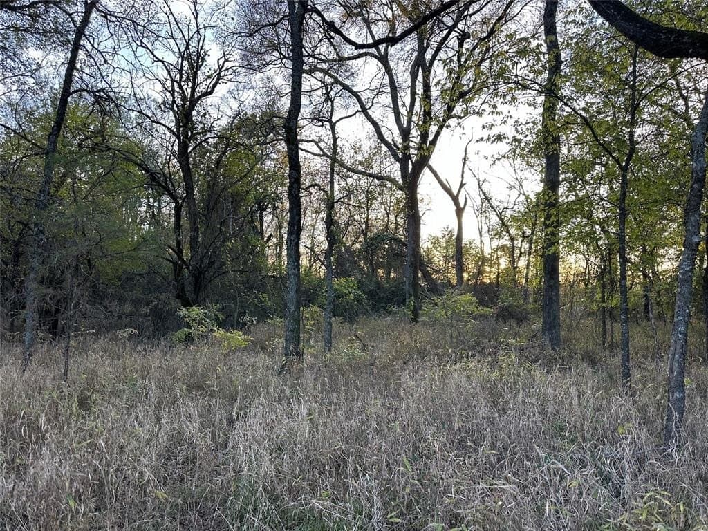 66.87 acres in Lamar County - photo 26