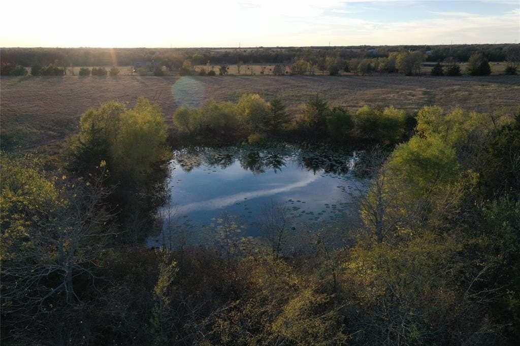 66.87 acres in Lamar County - photo 5