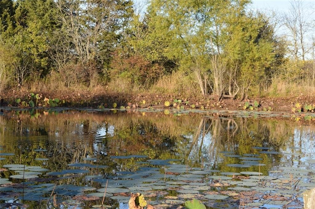 66.87 acres in Lamar County - photo 22