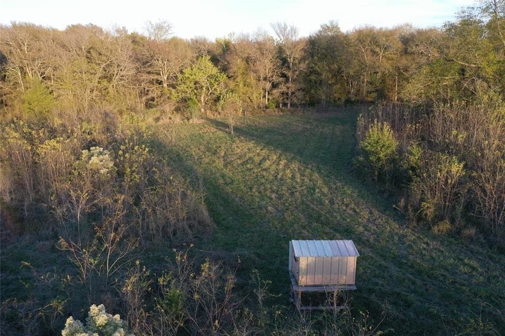 66.87 acres in Lamar County - photo 8