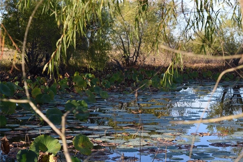 66.87 acres in Lamar County - photo 20