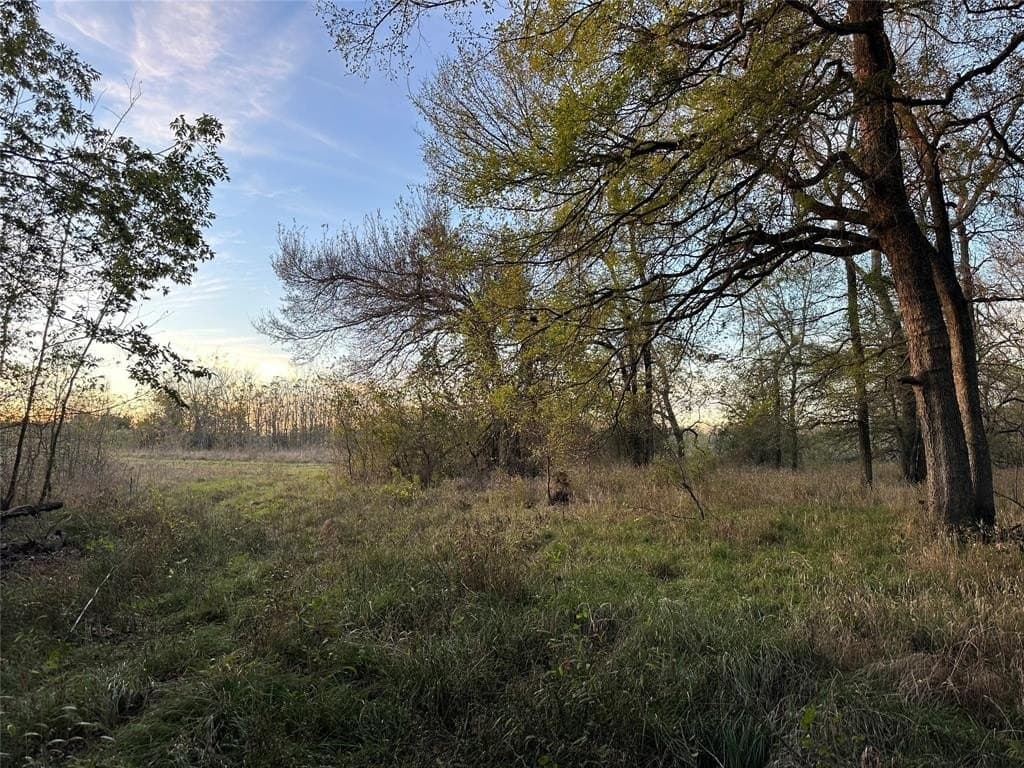 66.87 acres in Lamar County - photo 31